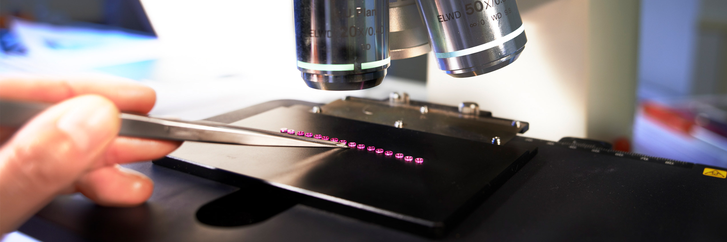 Rubine unter dem Mikroskop